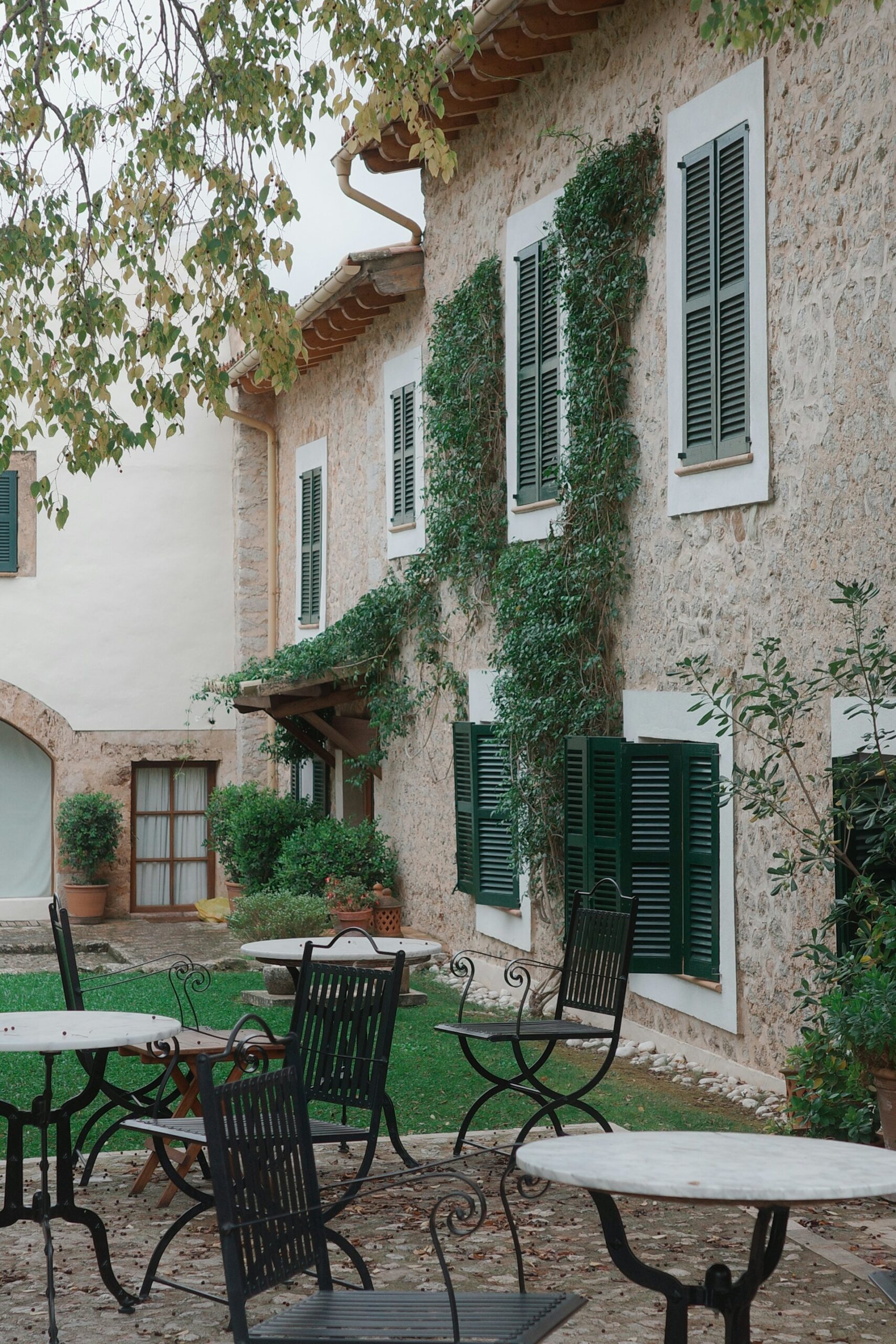 Bâtisse en pierre couverte de lierre avec terrasse