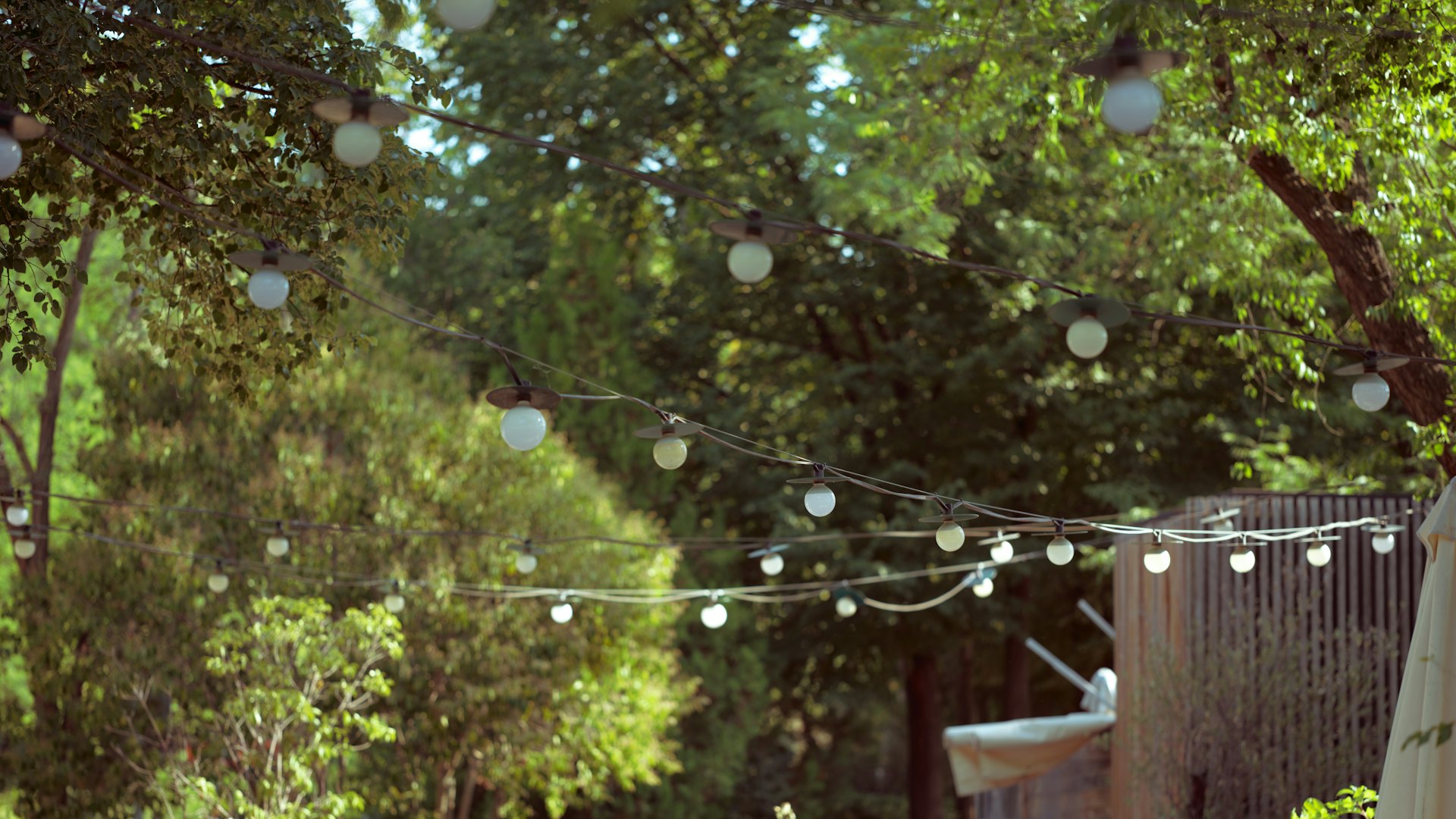 Jardin arboré avec guirlandes lumineuses